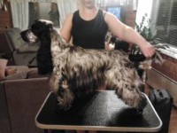 /album/ilpo/iski-151-jpg/